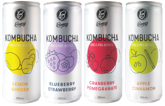 Bonsoy Cranberry Pomegranate Kombucha 250ml